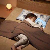 Frieren: Beyond Journey’s End Plush Toys –  Frieren, Fern & Stark Plushie Dolls